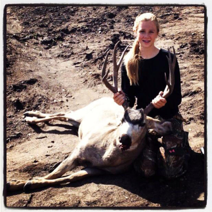 Mule Deer